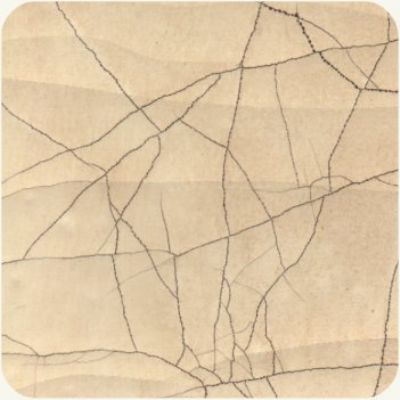 SILK DYNASTY - . 
